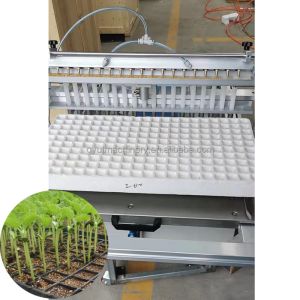 Customised 600*700*800mm Professional Pumpkin Seeds Tray Seeder for Nursery