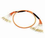 1310nm OM2 2.0mm 12C Multimode Fiber Optic Patch Cords