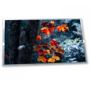 15.6-Inch WLED LCD Display Module NT156WHM-N46 with 1366*768 Resolution COB Type for Various LCD Applications