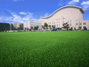 China Artificial Grass Baseball Turf 40-70mm Football Grass For Soccer Ground factory