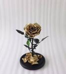 Real Natural Fresh Big Rose Preserved Flower Preserved Everlasting Real Roses in