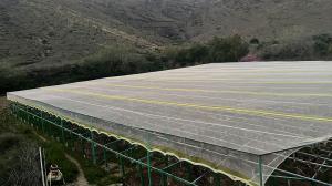 China HDPE UV Treated Insect Proof Agricultural Netting Provides Tear Resistance factory