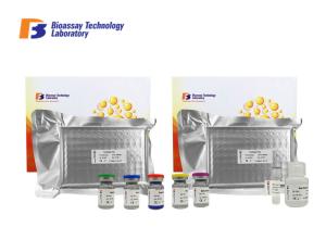 China TNFRSF6 Enzyme Immunoassay Kit Human Tumor Necrosis Factor Receptor Superfamily Member 6 factory
