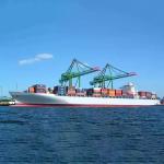 RORO Bulk Global Logistics Service With Contracted Logistics Rates From Shanghai