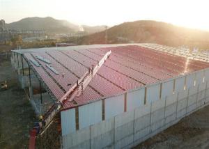 China Steel Structure Cowshed Steel Structure Construction Prefabricated factory