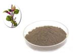 Premium Perilla Seed Natural Agricultural Products As Traditional Condiment