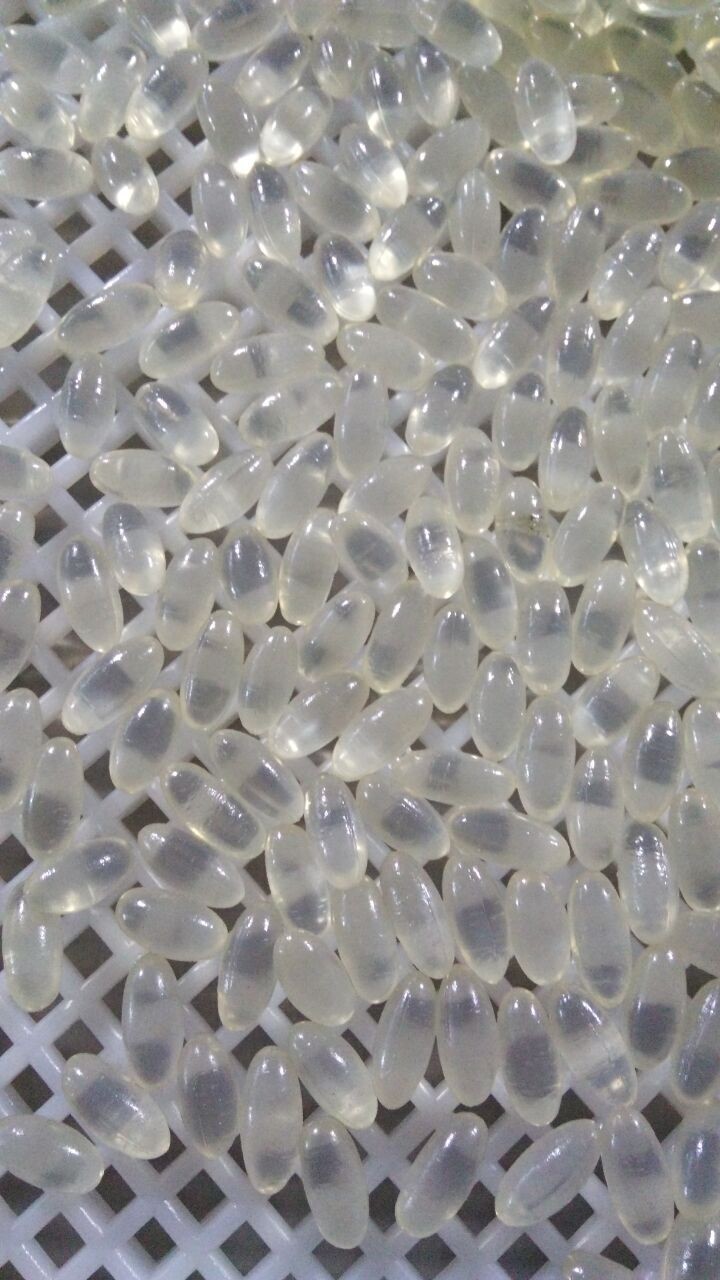 3.5rpm Small Start Fish Oil 12000pcs/H Softgel Machine