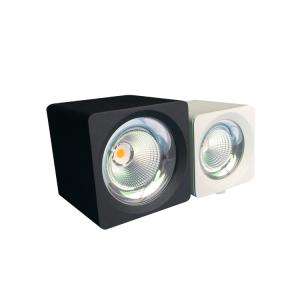China 3000K 10W-45W square or round led ceiling light led downlight AC230V warranty 5years factory