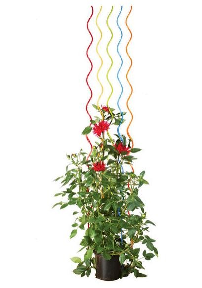 Metal Plant Support Stainless Steel Wire Forming Bright Surface For Potted Plants