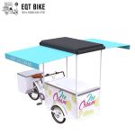 EQT 138L Or 110L Front Load Tricycle Ice Cream Bike For Sales DC Powered Freezer