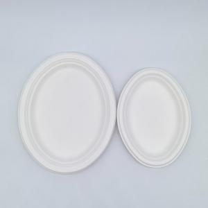 China Environmental Protection Sturdy Biodegradable Bagasse Plates Bagasse Pulp Products factory