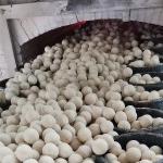 92% Alumina Ceramic Grinding Balls for Industrial Manufactured by Light Yellow