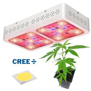 China Home Garden 200 Watt COB LED Grow Light For Fruits 3 Years Warranty factory