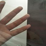 Clear Biodegradable Plastic Film / PLA Heat Shrink Film For Environmental