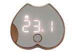 Non Contact Remote Infrared Thermometer , Body Temperature Thermometer