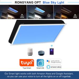 China Energy-Saving Artificial LED Skylight Commercial LED Outdoor Lighting 3000K-6000K factory