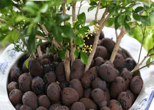 China Aquaponic Hydroponic Clay Balls Customized Size Low Energy Consumption factory