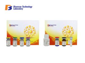 China Strong Specificity Human F5 Sandwich Enzyme Assay Kits 96 Wells Customized factory