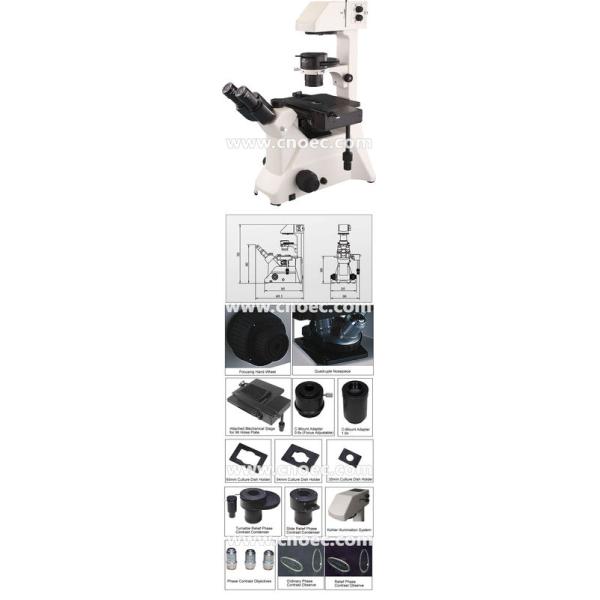 Research Phase Contrast Microscope