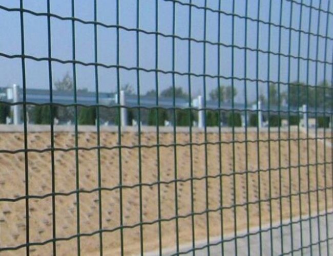 SGS Pvc Coated Holland Wire Mesh Fence Welded Mesh Rolls For Yard Weather Proof