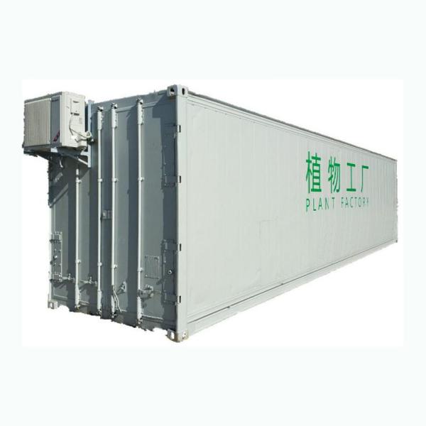 220V 380V Hydroponic Container Farm Leafy Green Growing 40HC Refrigerated