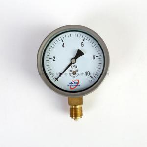 China PG-043 Capsule element pressure gauge 100mm SS case factory