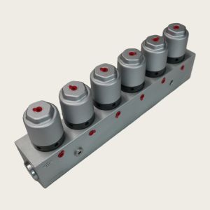 300L/min Cartridge Valve Assembly Easy-Maintenance Cartridge Valve Stainless