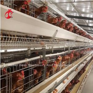 China Fully Automatic 100 Chickens Poultry Battery Cage System H Type Hot Galvanized Adela factory