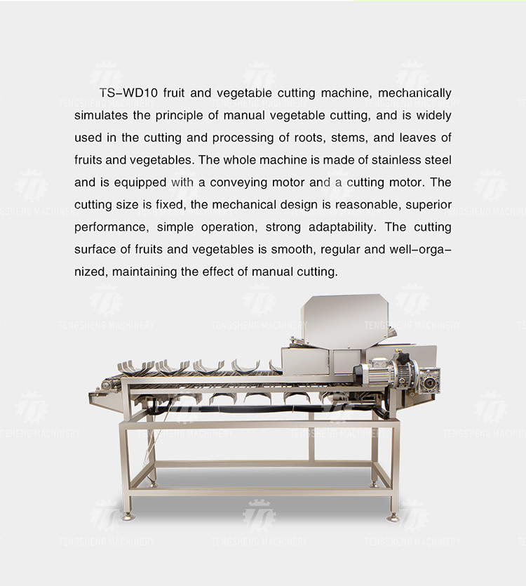 380V 150KG Luffa pumpkin asparagus cucumber lettuce bitter melon slicing machine specifications can be fixed