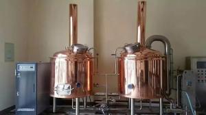 China 500L 2 Vessel Craft Beer Brewing Equipment Turnkey Microbrewery Systems factory