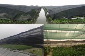 China 50% Shade Ratio PE Shade Net Agriculture Greenhouse Shading Net 4m on sale