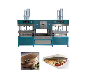 China Drying Sugarcane Bagasse Plates Machinery Stainless Steel factory