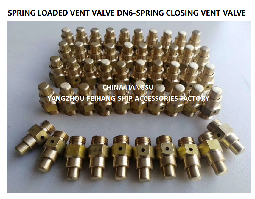 DN6 Spring Closing Vent Valve with Thread M13 and CB/T3778-1999 Standard for Marine Applications