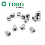 304 Stainless Steel Hex Cap Nut DIN 1587 Hexagon Domed Cap Nut