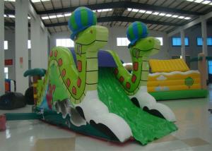 China Mini Snake Style Commercial Inflatable Water Slides 0.55mm Pvc Tarpaulin Safe Nontoxic factory