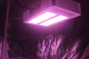 China 3W Osram Leds Full Spectrum grow lights bulb 210Watt, led plant light factory