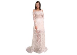 China Women ' S Long Sleeve Evening Gowns And Ladies Wedding See Through A - Line Tulle Lace Dresses factory