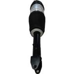 Front Air Suspension Strut Shock Absorber For 2016-2019 Tesla Model S RWD