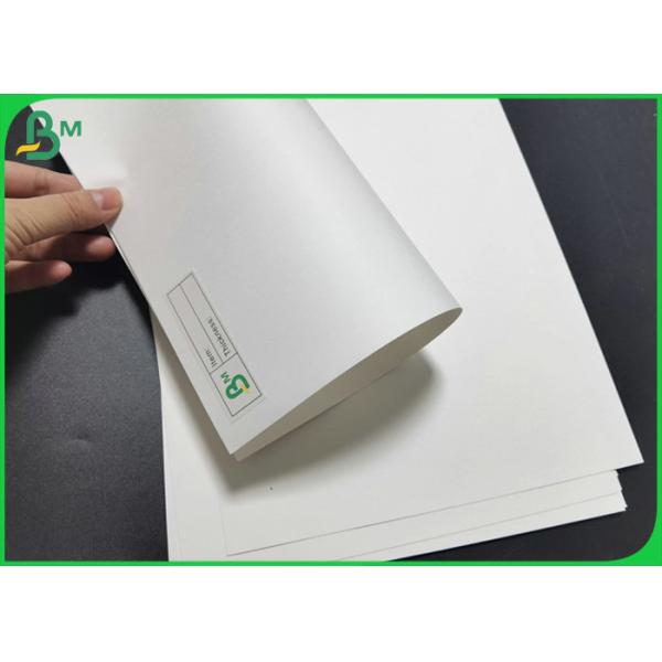 Food Grade 150gsm 250gsm Uncoated White Kraft Paper Roll For Dish Plates 