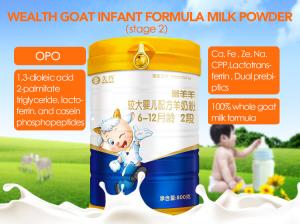 China Formula Baby Good Health Goat Milk Powder / One Year Baby Milk Powder factory