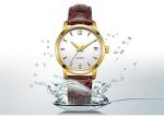 IP Gold Stainless Steel Automatic Watch With Transparent Back Screw SS Crown