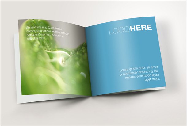 Manga Custom Coloring Book Printing Services Children's Books Print on Demand Brochure