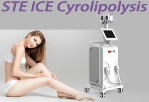 China 3 Handles Body Slimming Fat Freezing Machine Coolsculpting Equipment Vertical Type factory