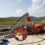 Coffee/Cocoa Beans Peeling Machine for Industrial Production at 910*730*1265mm