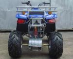 Large Size Automatic ATV 150cc Quad Bike 10" Big Tire Cvt Interior Reverse