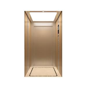 China Cheap Indoor Small Shaftless Residential Elevators Home Lift factory