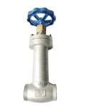 Low Temperature Insulation Globe Valve Cryogenic Valve CJ61F DN10 - DN250