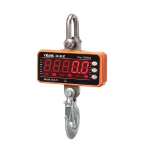 China Electronic Small 100 Lb Digital Hanging Scales Precison Aluminum Alloy Case factory