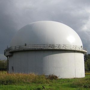 Weather Resistant Biogas Gas Holder Digester Mounted Double Membrane