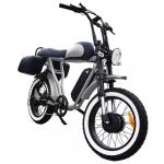 20 Inch Dual Motor Electric Bicycle 7 Speed Full Color Display Fat Tyre Electric